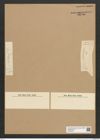 Diatomeae indet. Zeichnungen Sammlung Grunow Nr. 6628 (NHMW-BOT-W0375397)